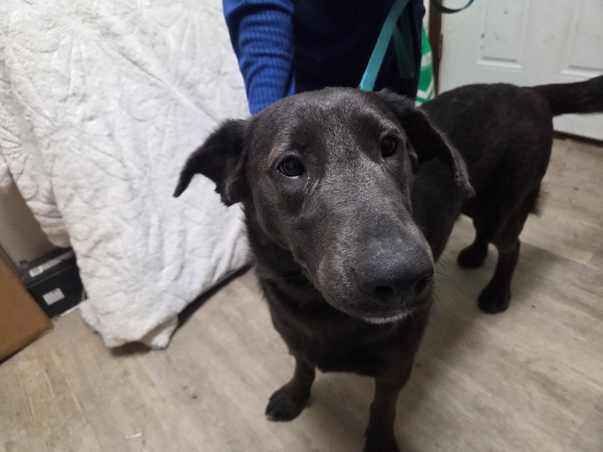 Deltanot Accepting Applications Yet! thumbnail 2