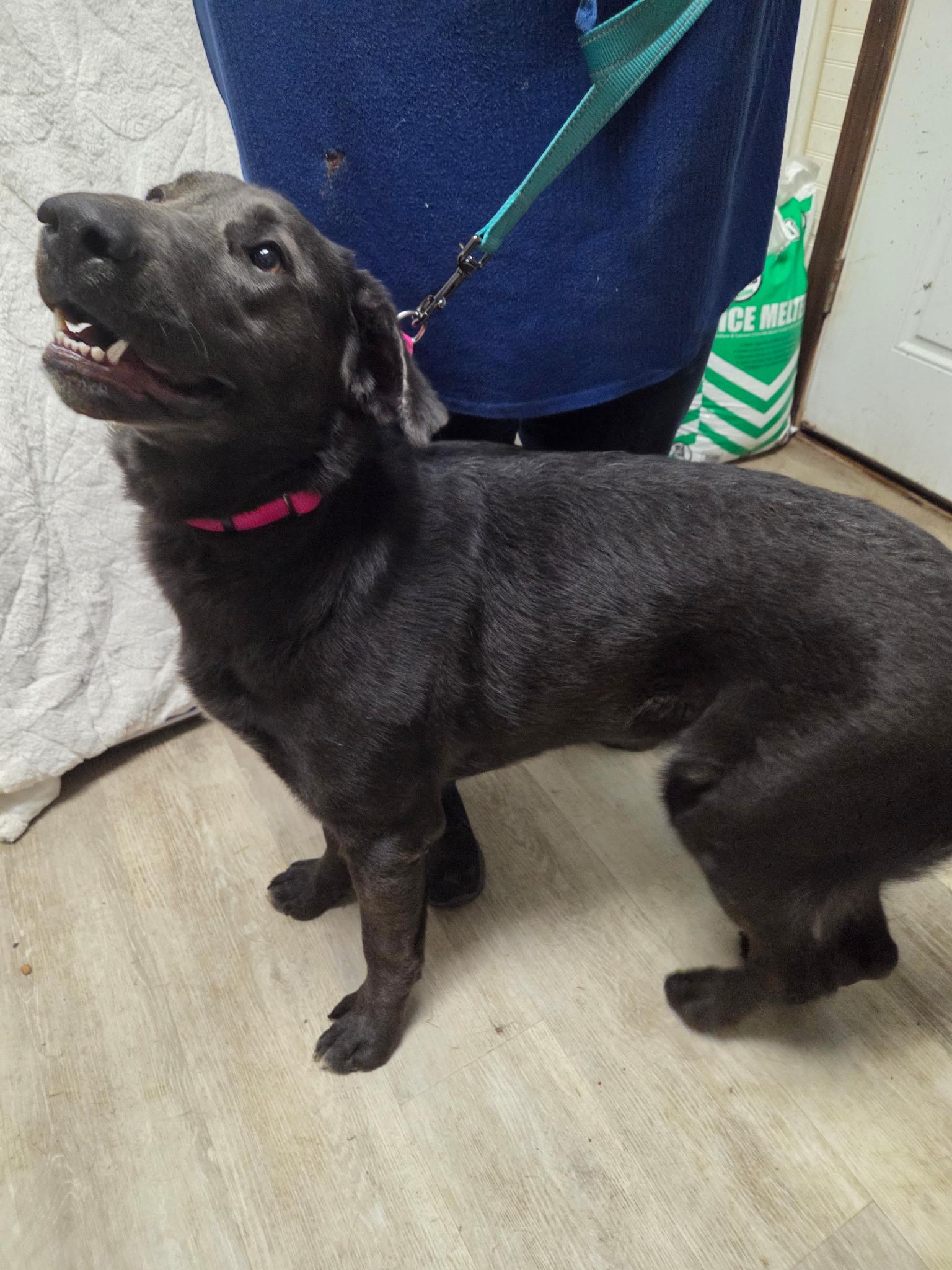 Deltanot Accepting Applications Yet! thumbnail 4