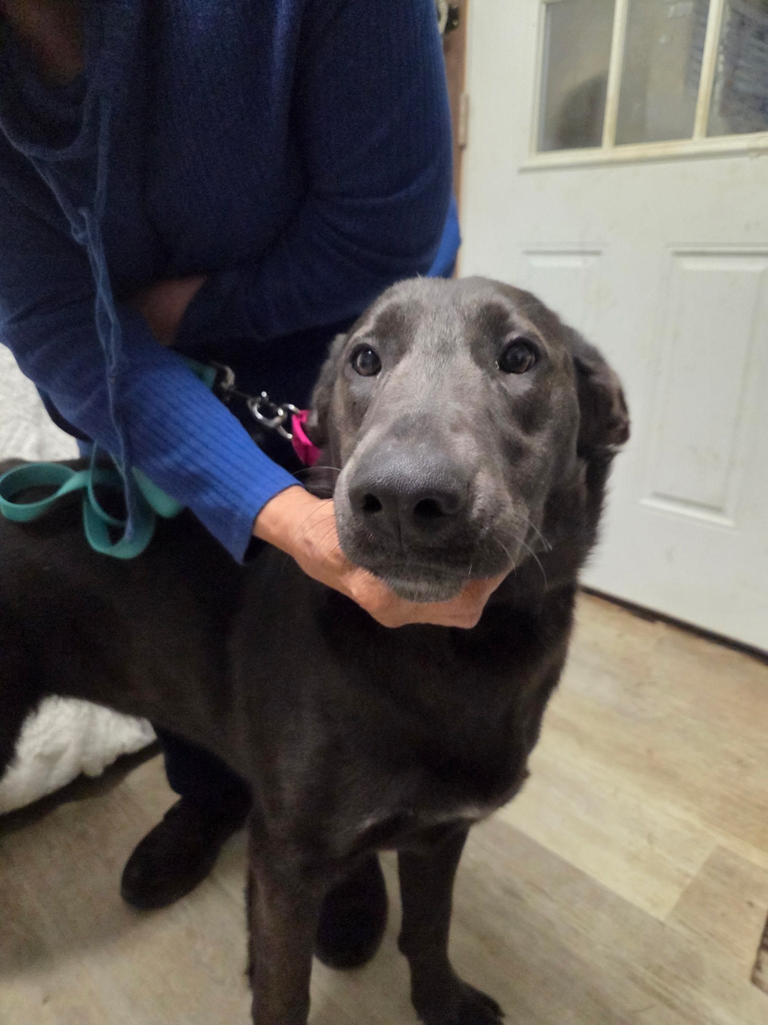 Deltanot Accepting Applications Yet! thumbnail 5