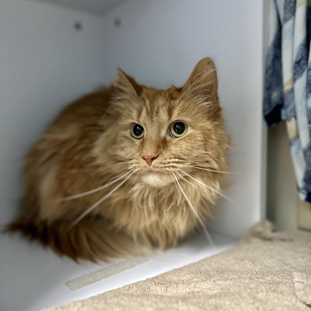 Peanut — thumbnail 2