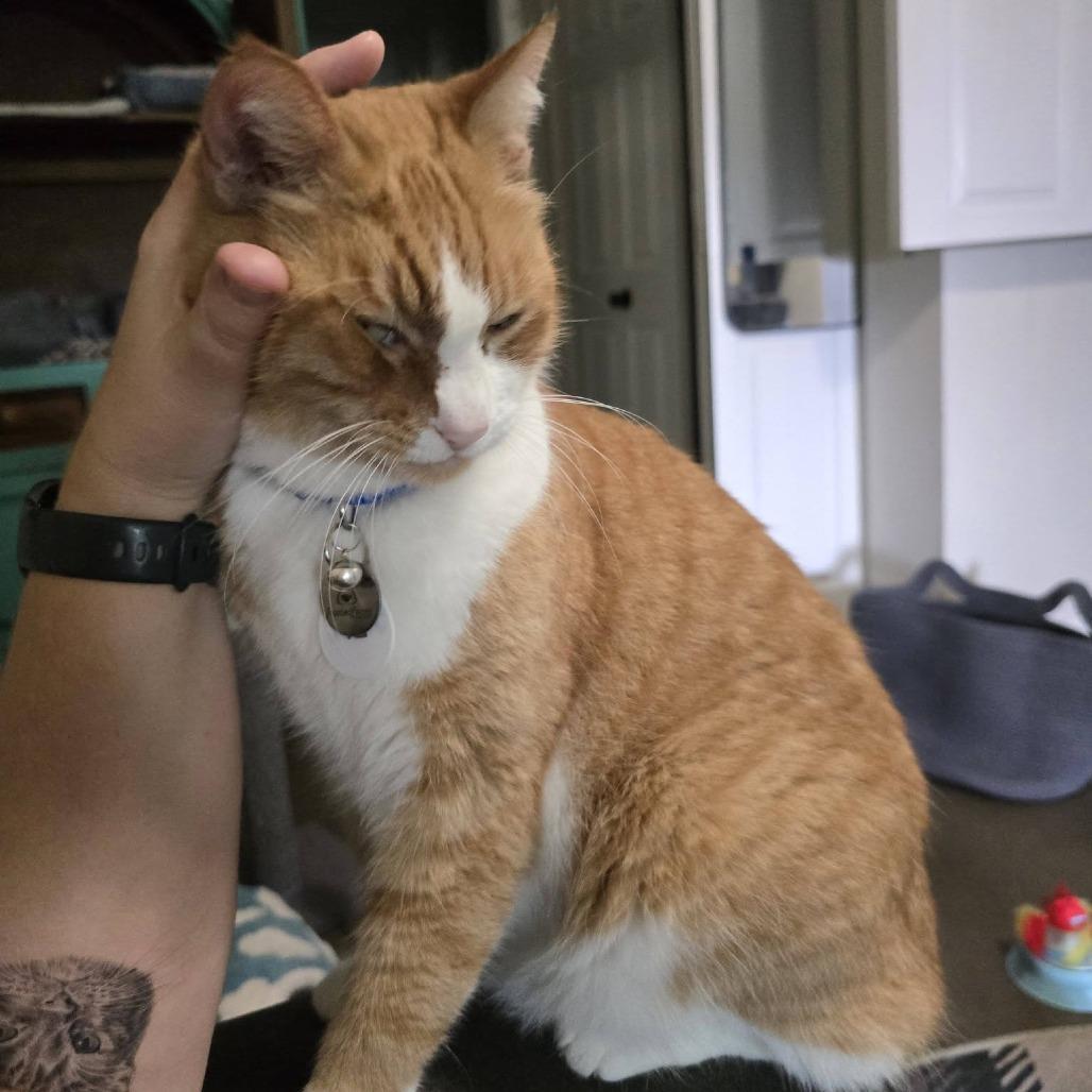 Jack — thumbnail 3