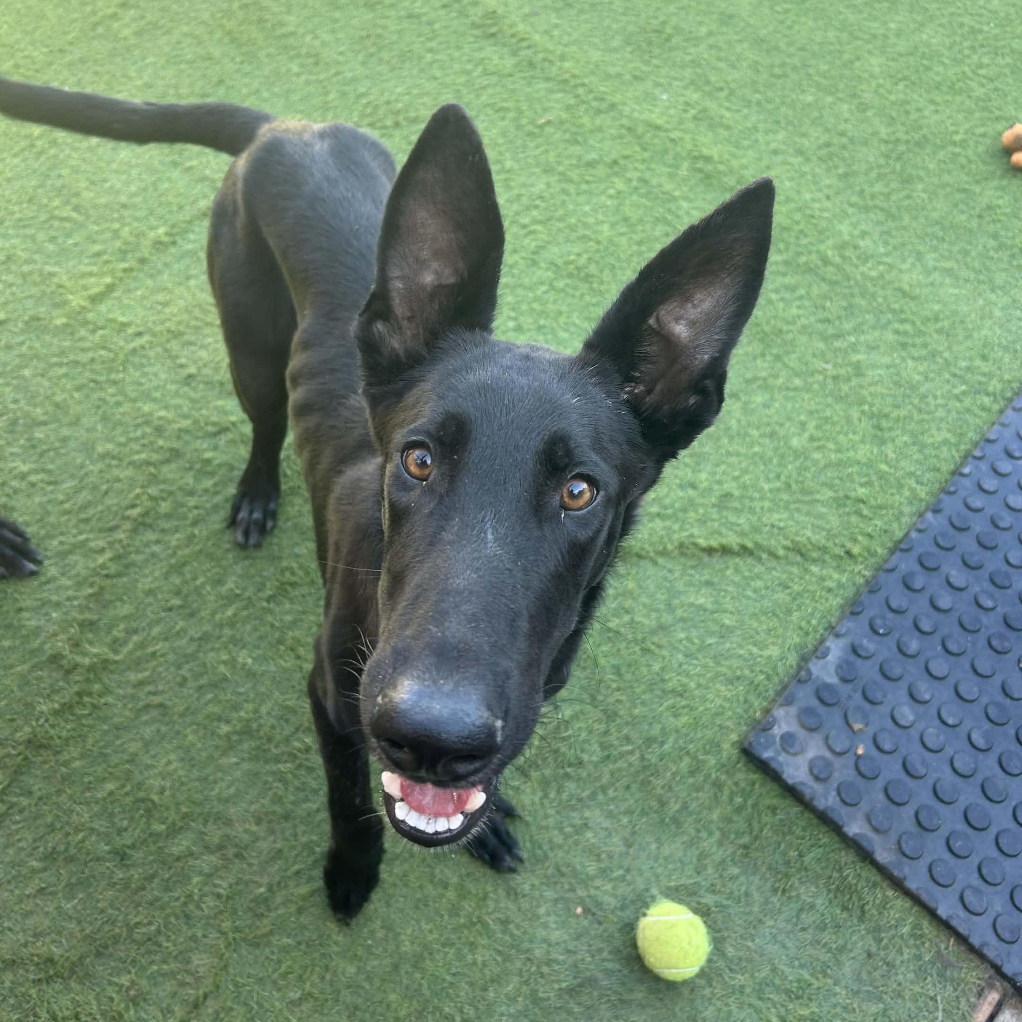 Gravy — thumbnail 6