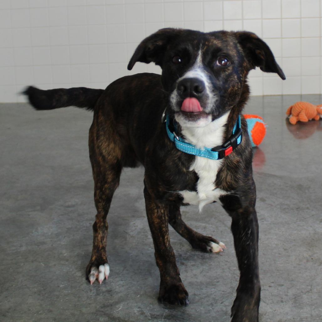 Montgomery thumbnail 2