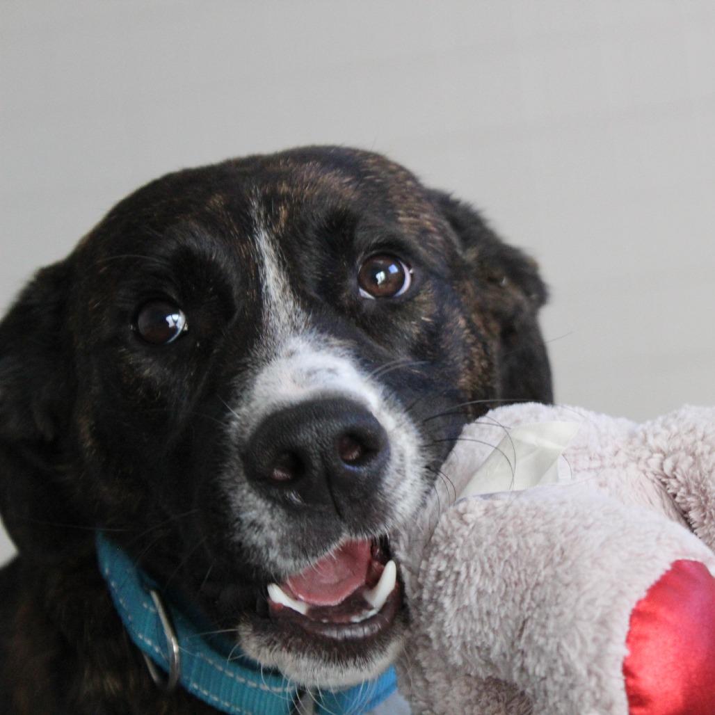 Montgomery thumbnail 4