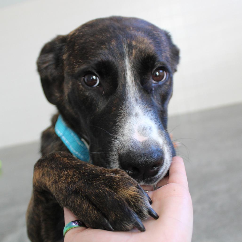 Montgomery thumbnail 5