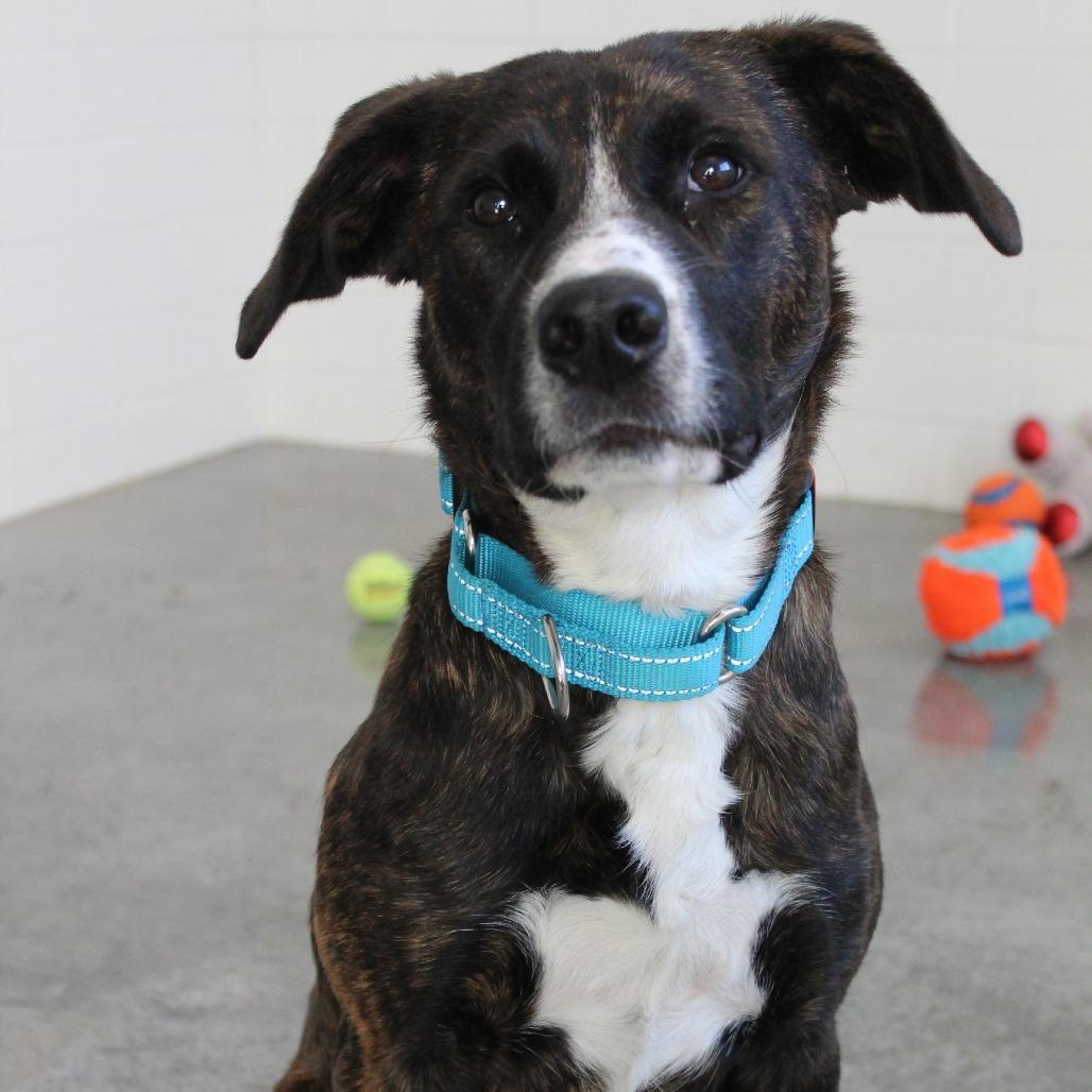 Montgomery thumbnail 6