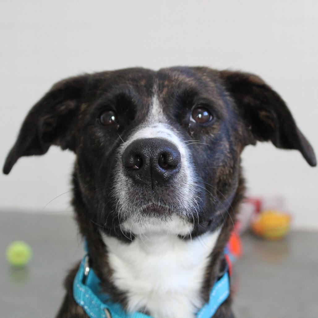 Montgomery thumbnail 7