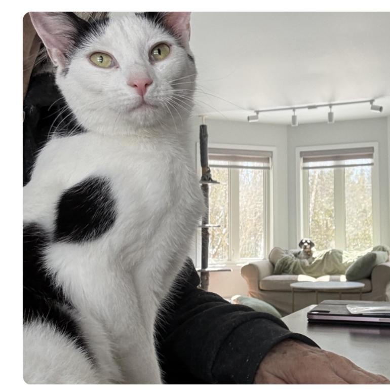 Spot