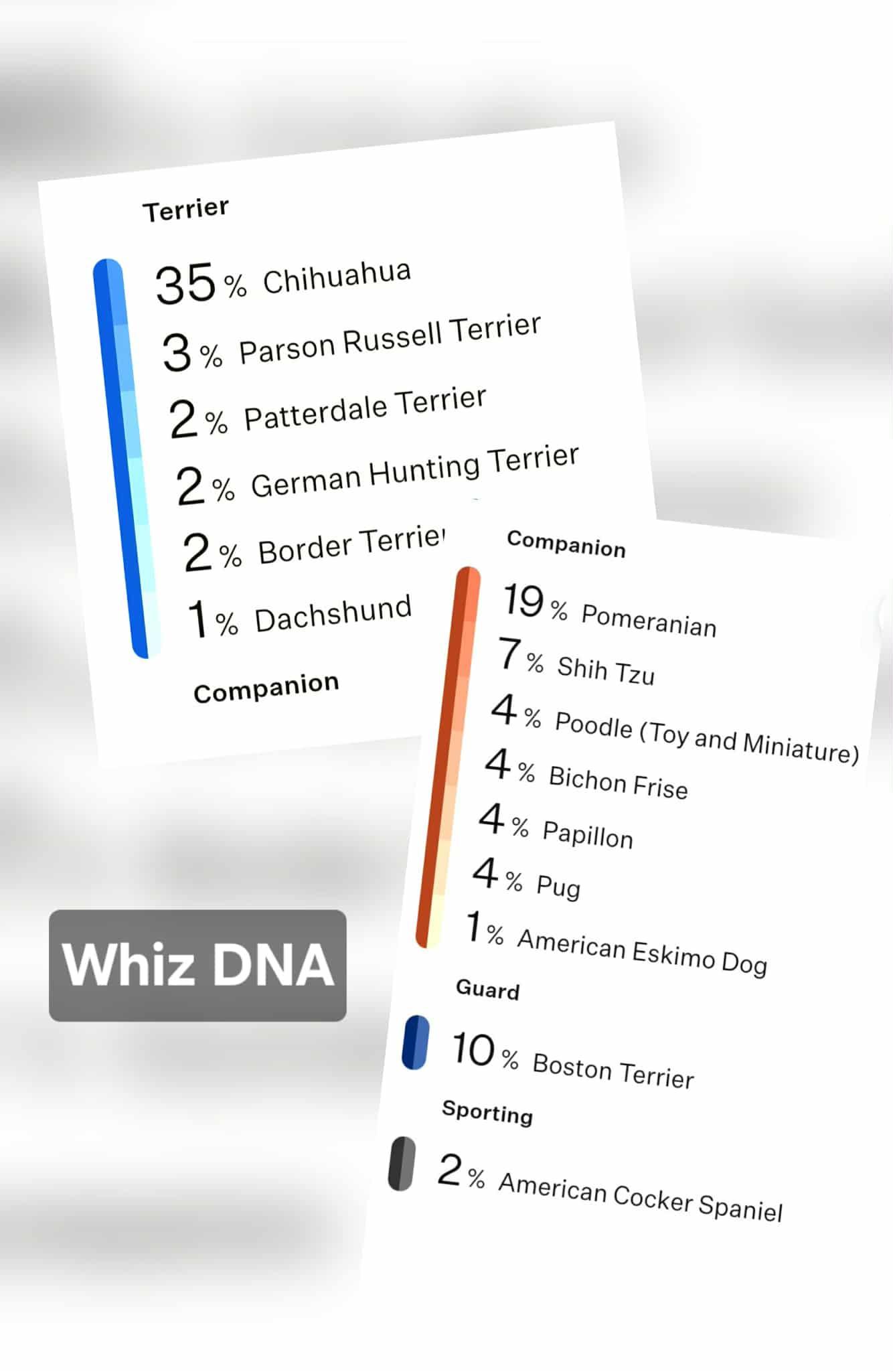Wrecks, a Adoptable mixed breed in Omaha, NE image 2/5