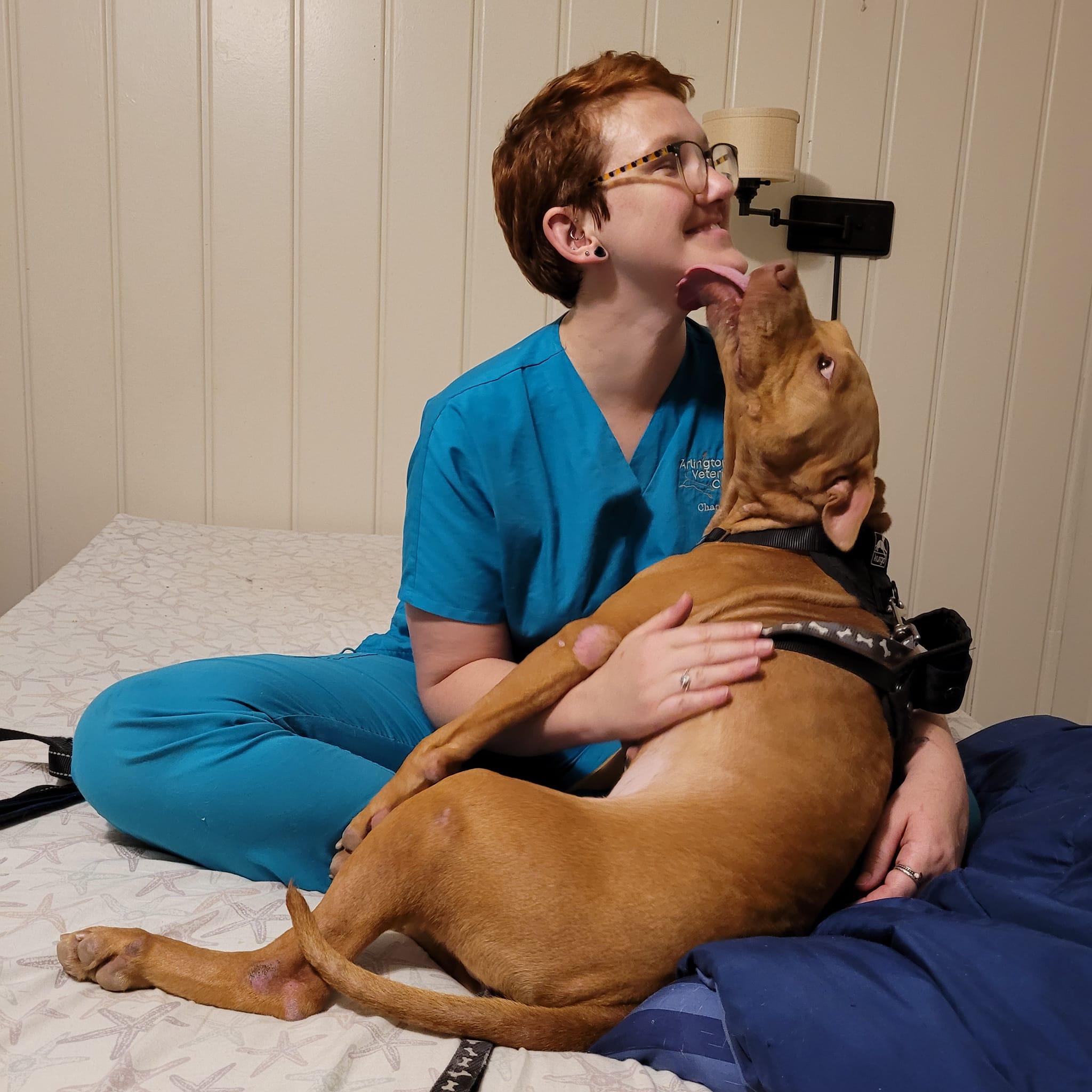 Enlarge Doggo, a Adopted mixed breed in Arlee, MT image 1/6