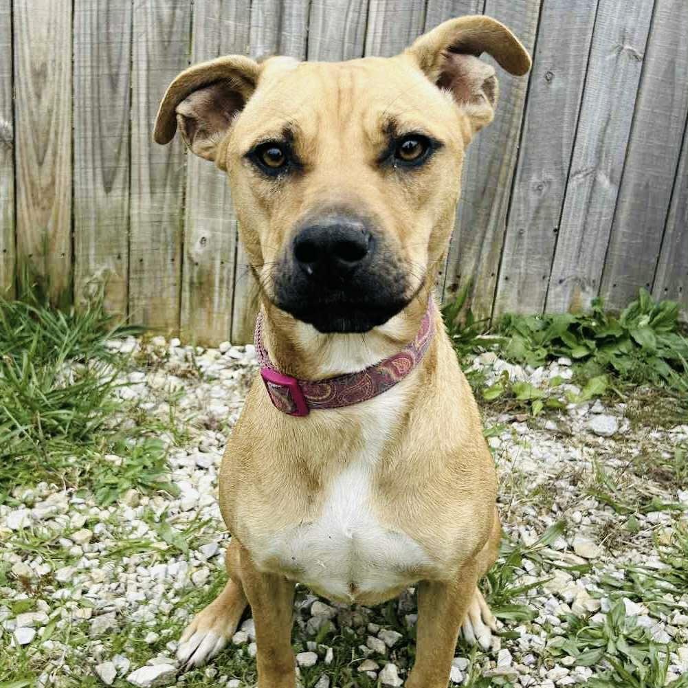 Peach (20251101-03) — thumbnail 2