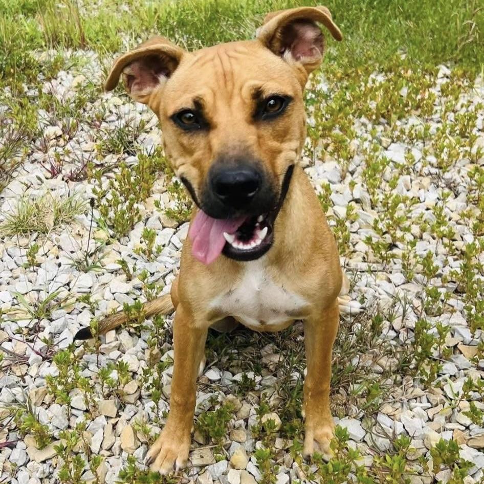 Peach (20251101-03) — thumbnail 4