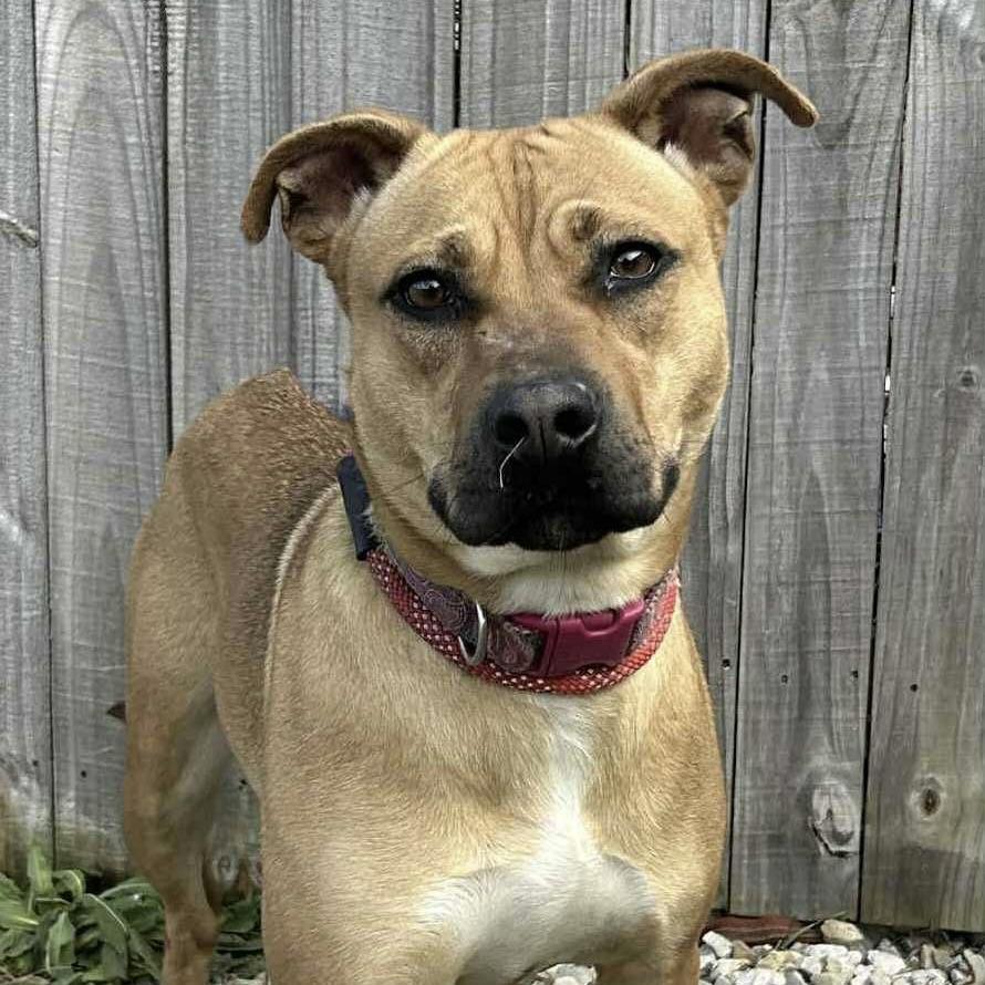 Peach (20251101-03) — thumbnail 5