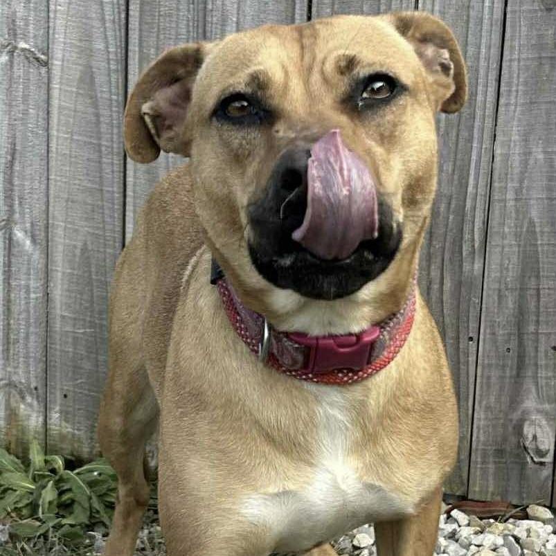 Peach (20251101-03) — thumbnail 6