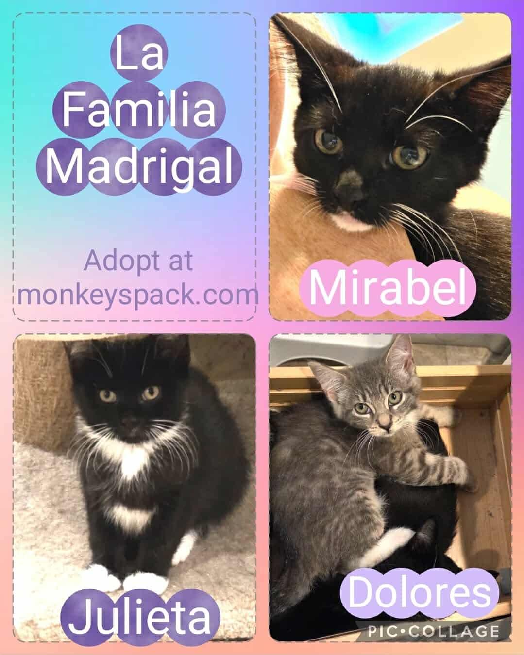 Mirabel and Julieta!