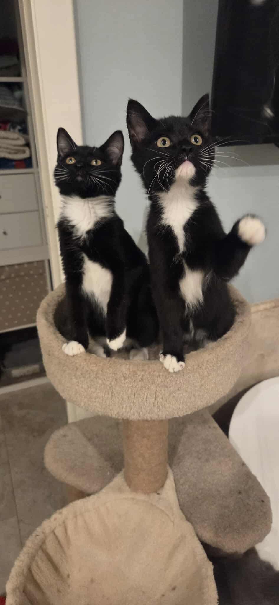 Mirabel and Julieta!