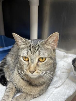 Rainey — thumbnail 2