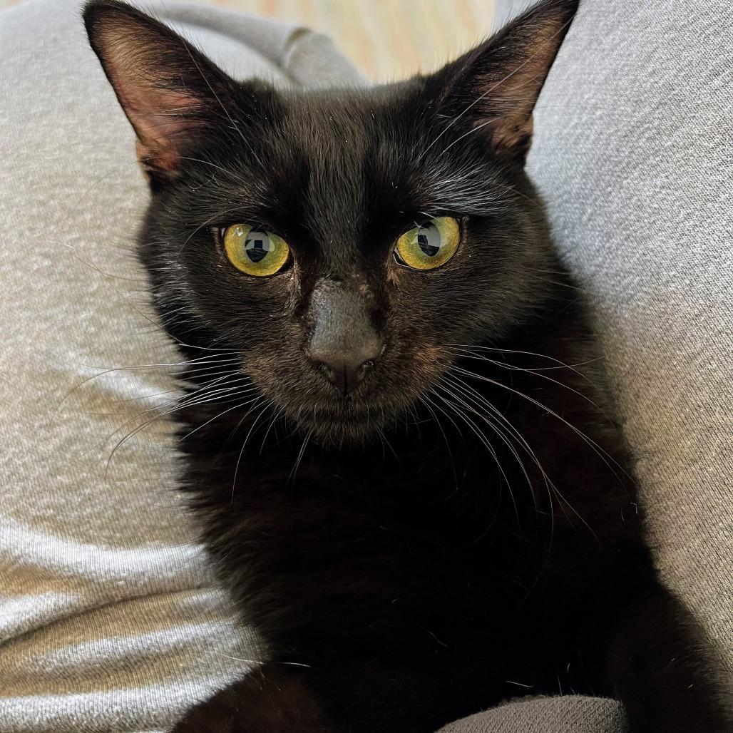 Molecule — thumbnail 3