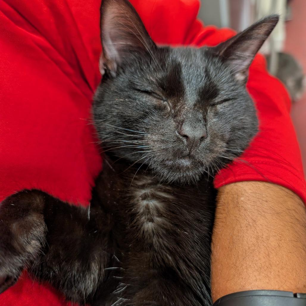 Molecule — thumbnail 4