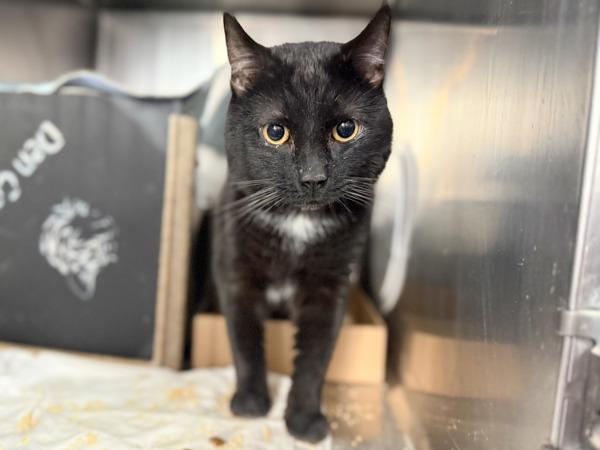 Syfy — thumbnail 2