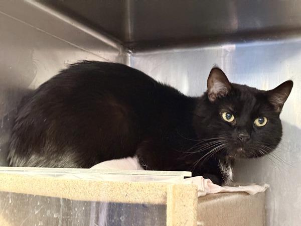 Syfy — thumbnail 3