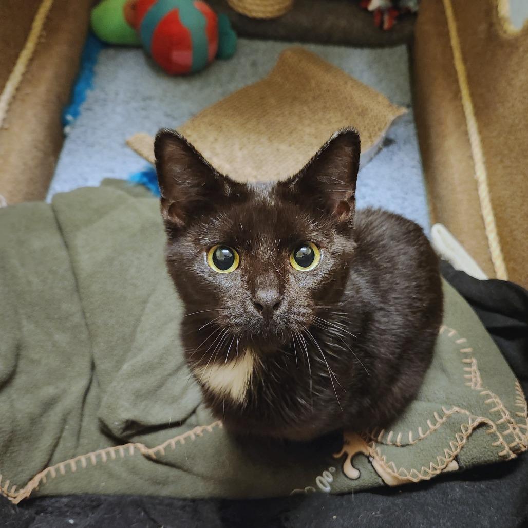 Olivia — thumbnail 2