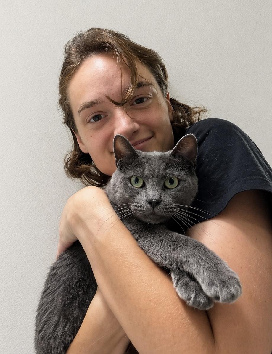 Enlarge Shae, a ADOPTABLE mixed breed in Houston, TX image 3/3