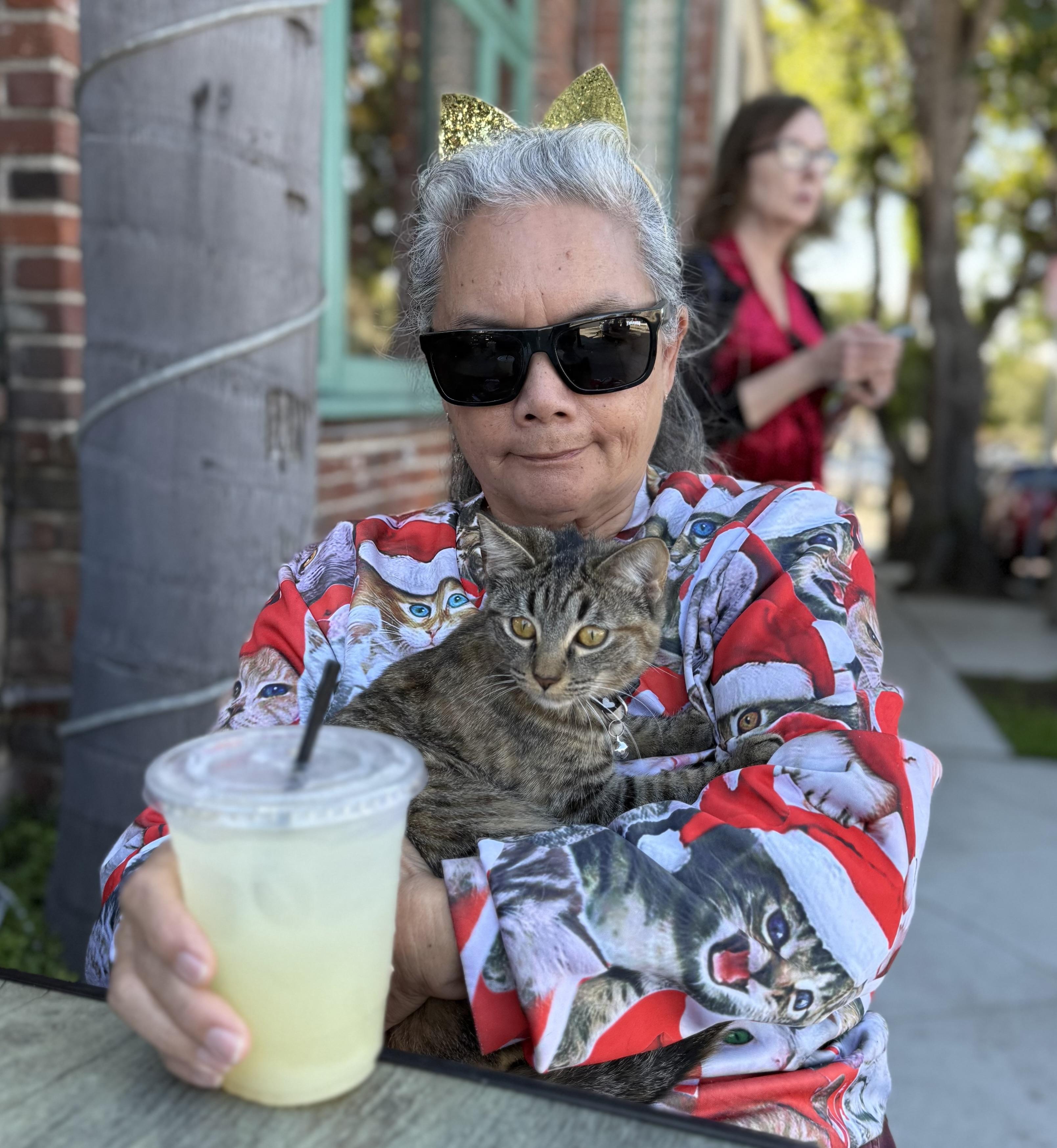 Oliver and Olivia, an adopted Tabby in Costa Mesa, CA image 3/4