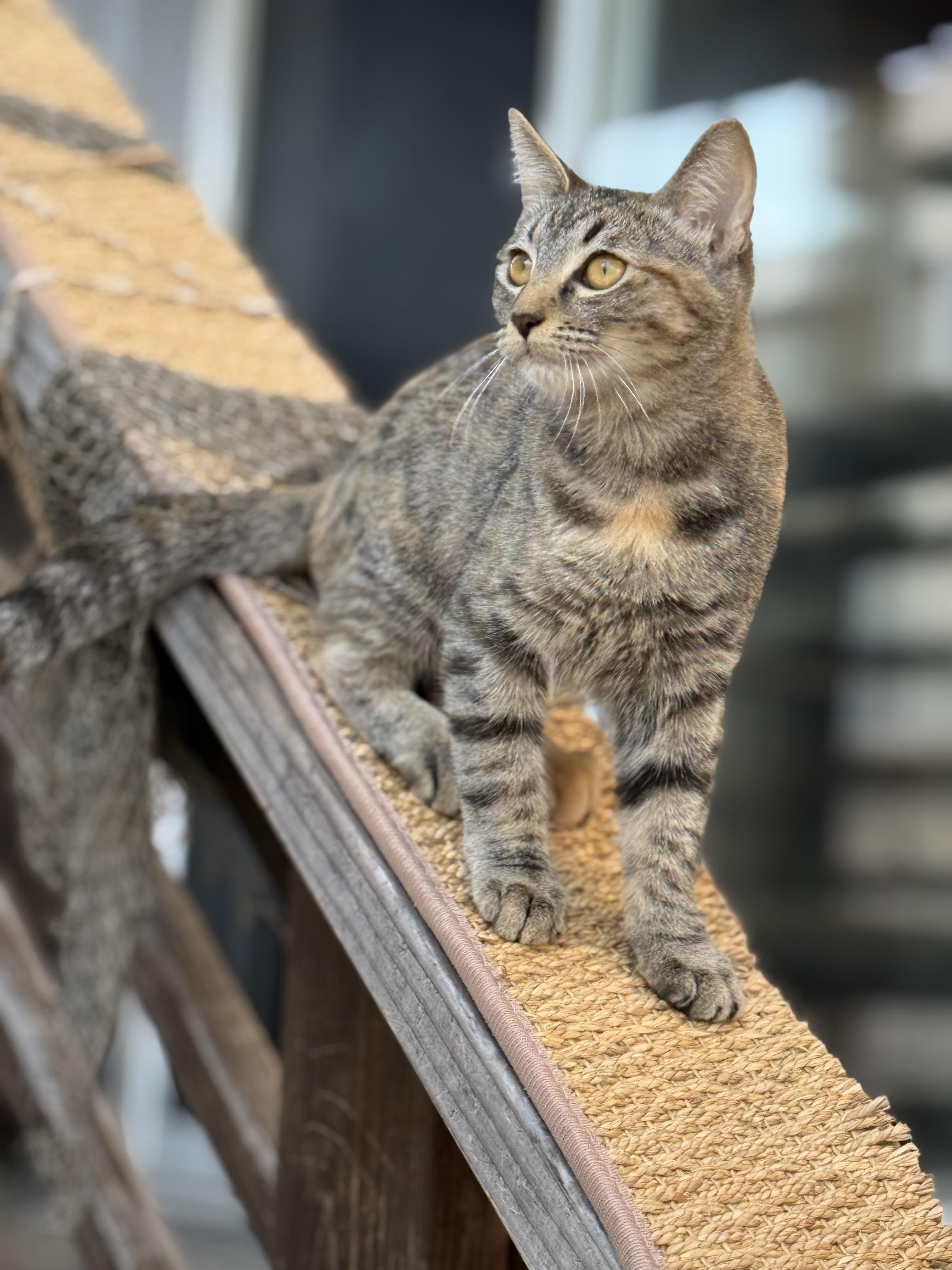 Oliver And Olivia thumbnail 4