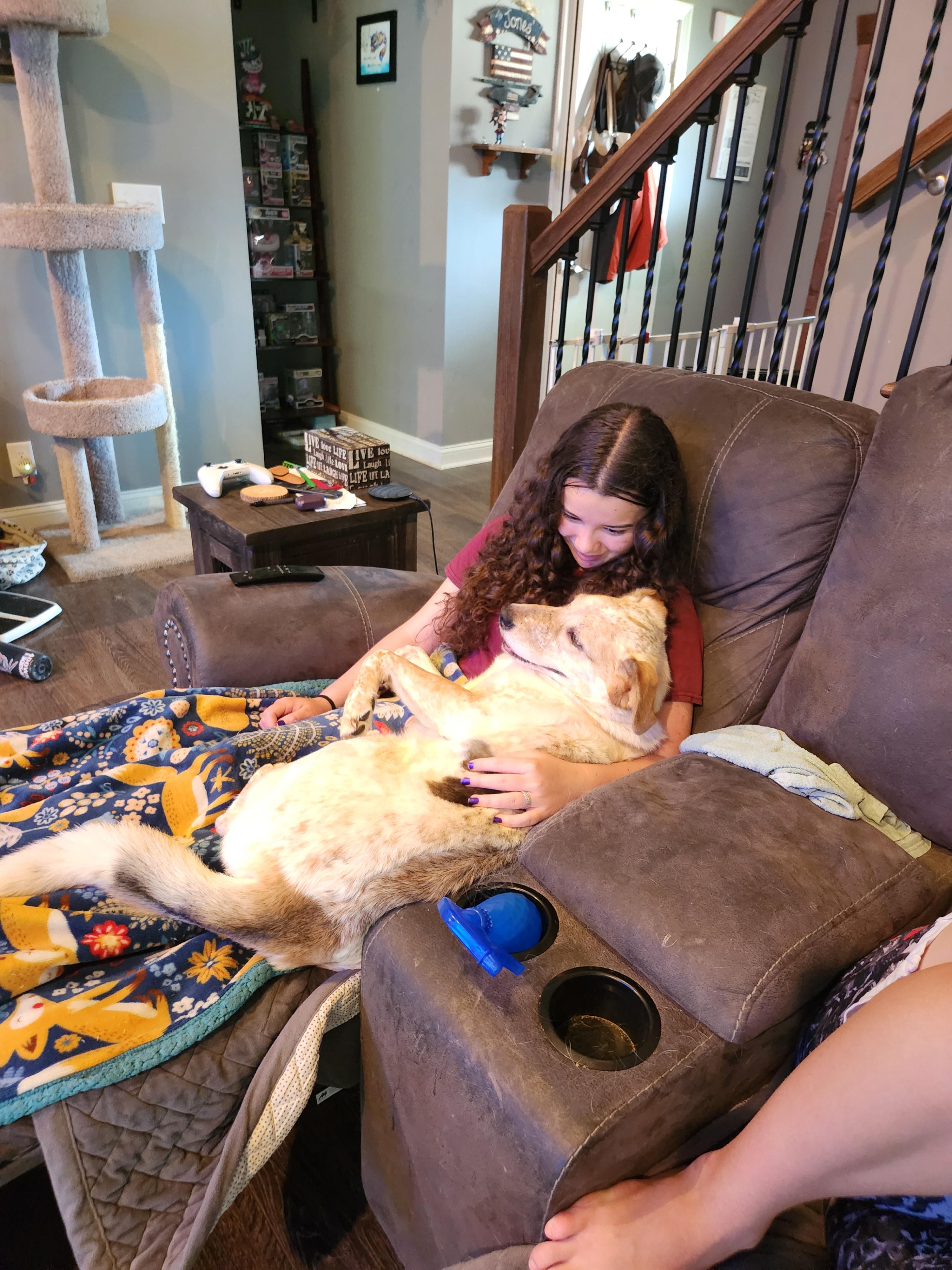 Enlarge Quinn, a Adopted mixed breed in Clarksville, TN image 6/6