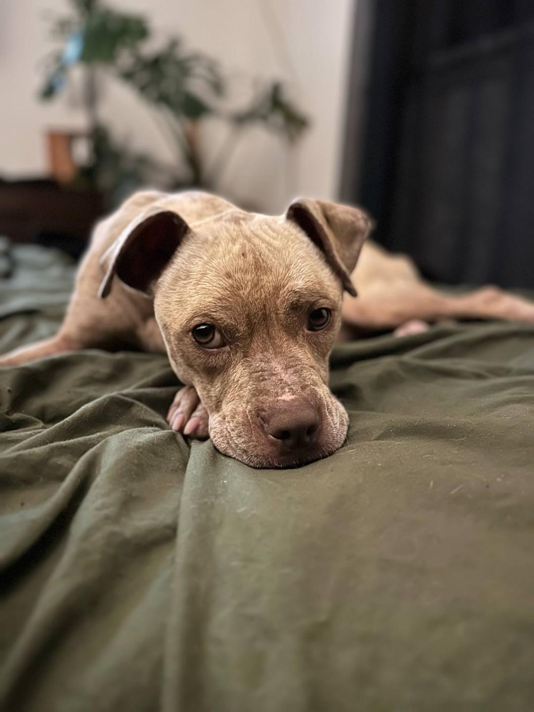 Maggie photo 2