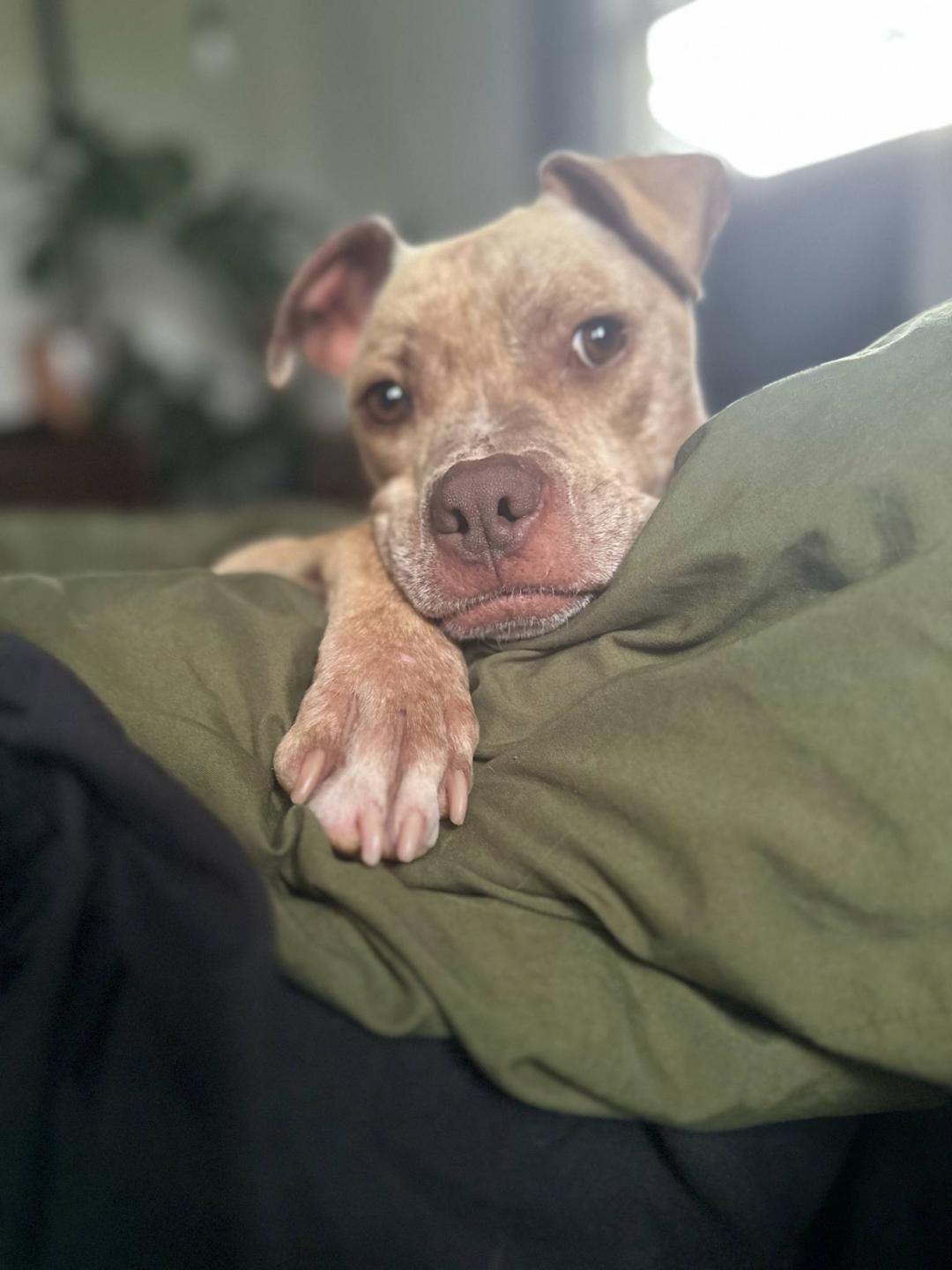 Maggie