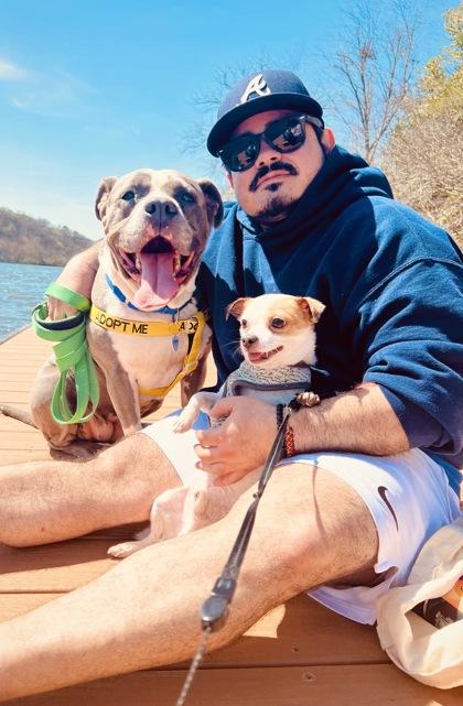 Enlarge Beauty, a Adoptable Mixed Breed in Atlanta, GA image 1/3