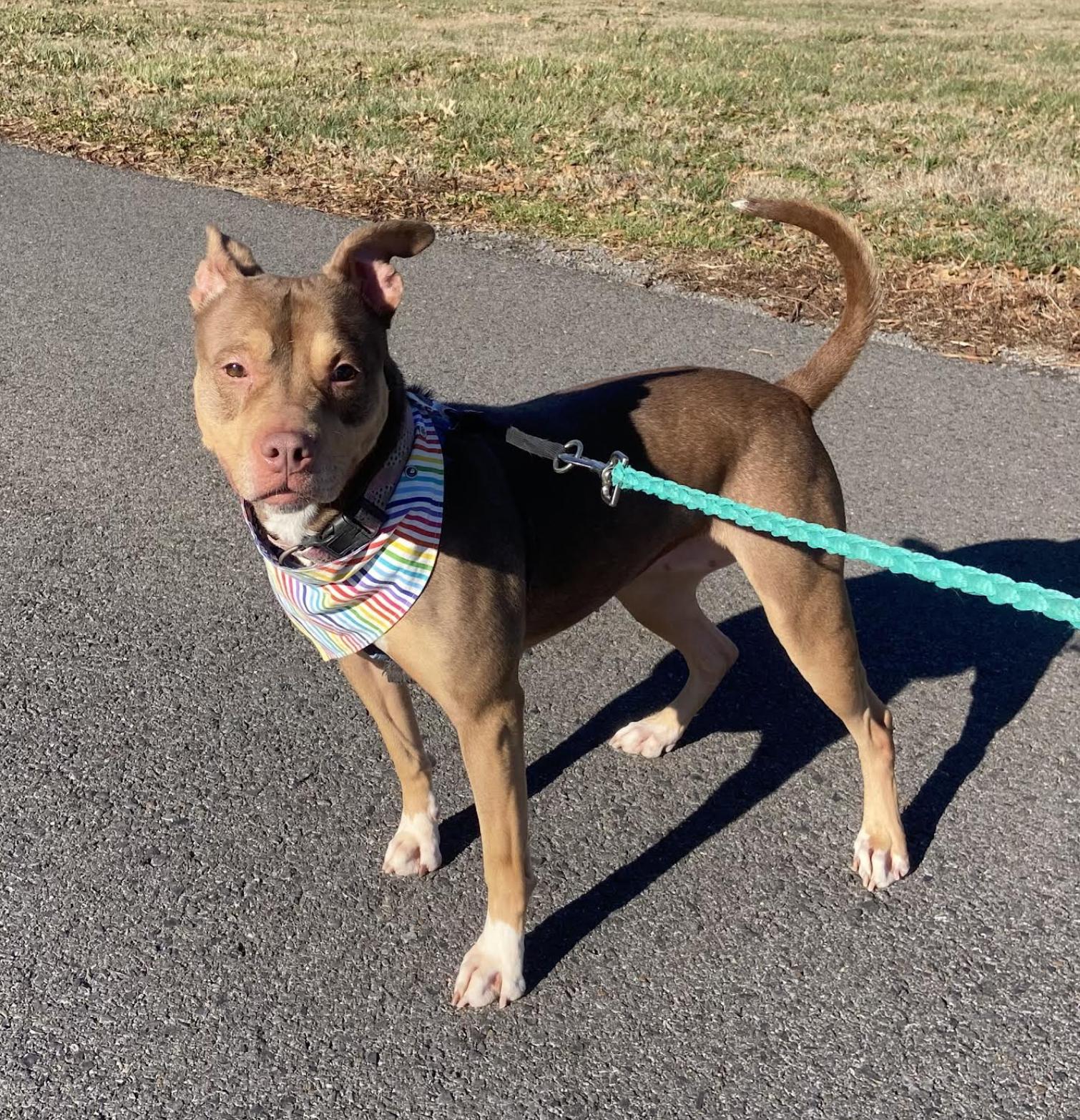 Mia Marvelous — thumbnail 3