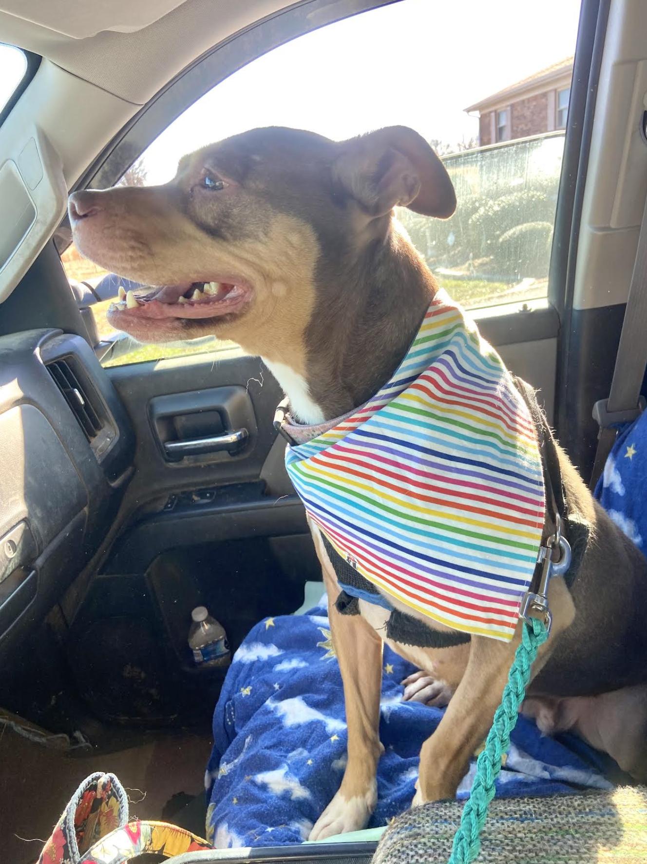 Mia Marvelous — thumbnail 4