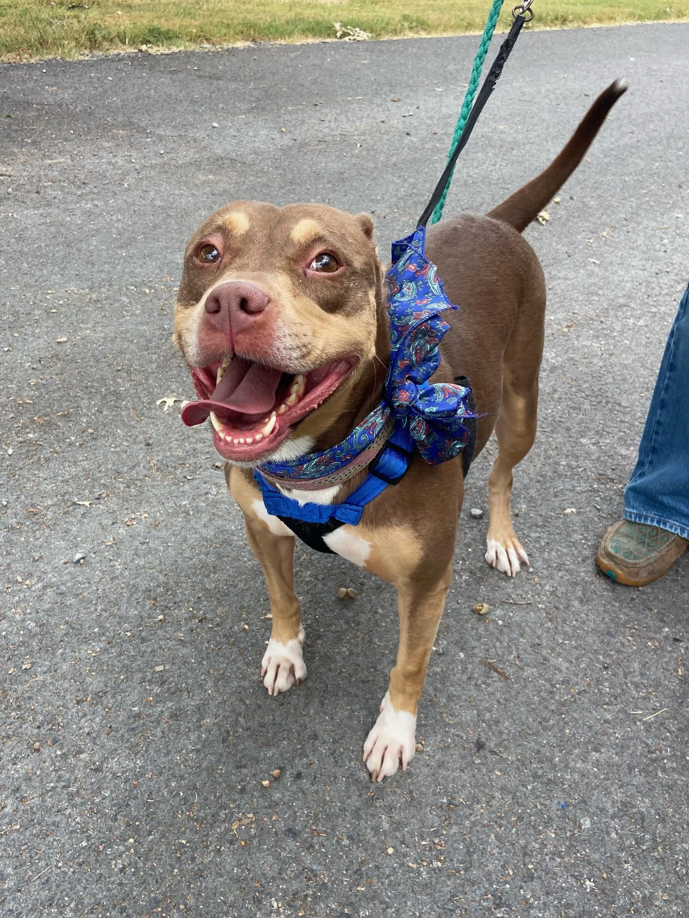 Mia Marvelous — thumbnail 5