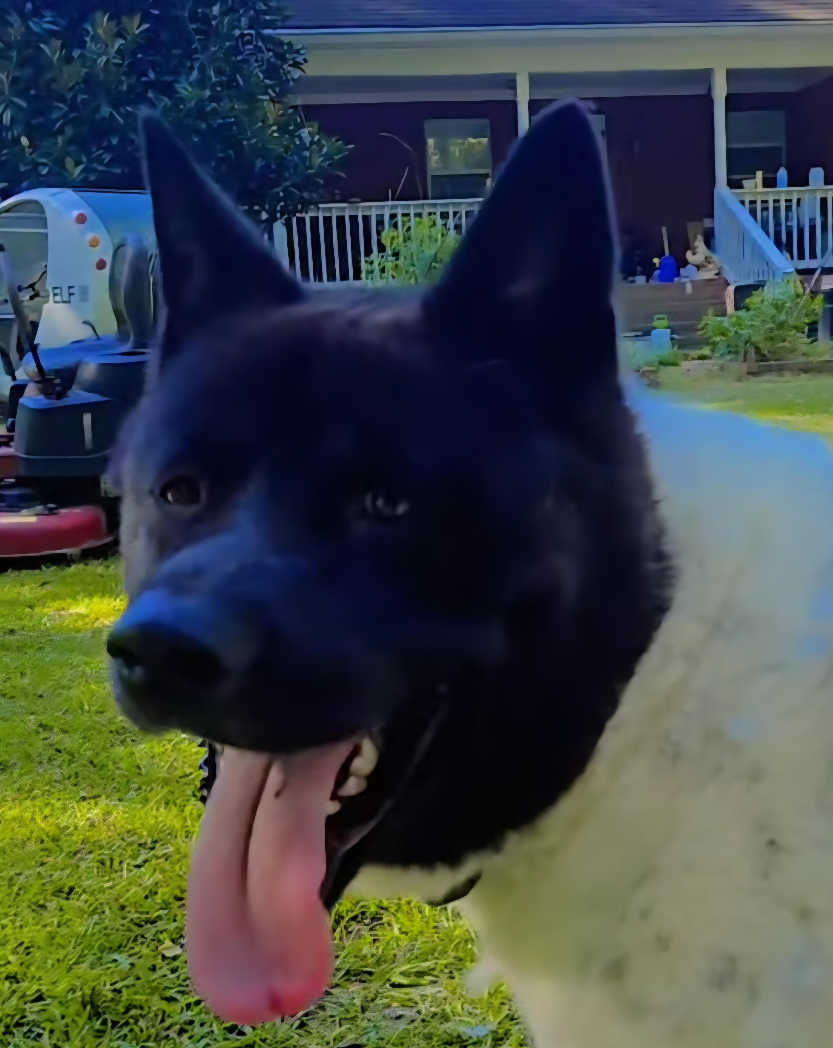 Mireille thumbnail 2