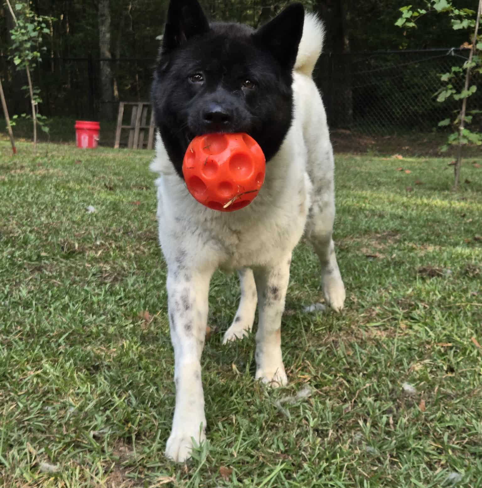 Mireille thumbnail 3