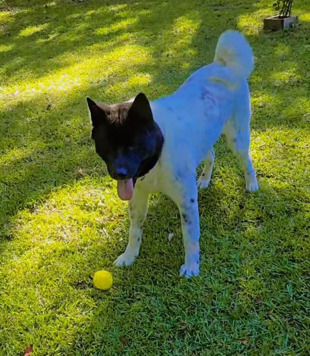 Mireille thumbnail 4