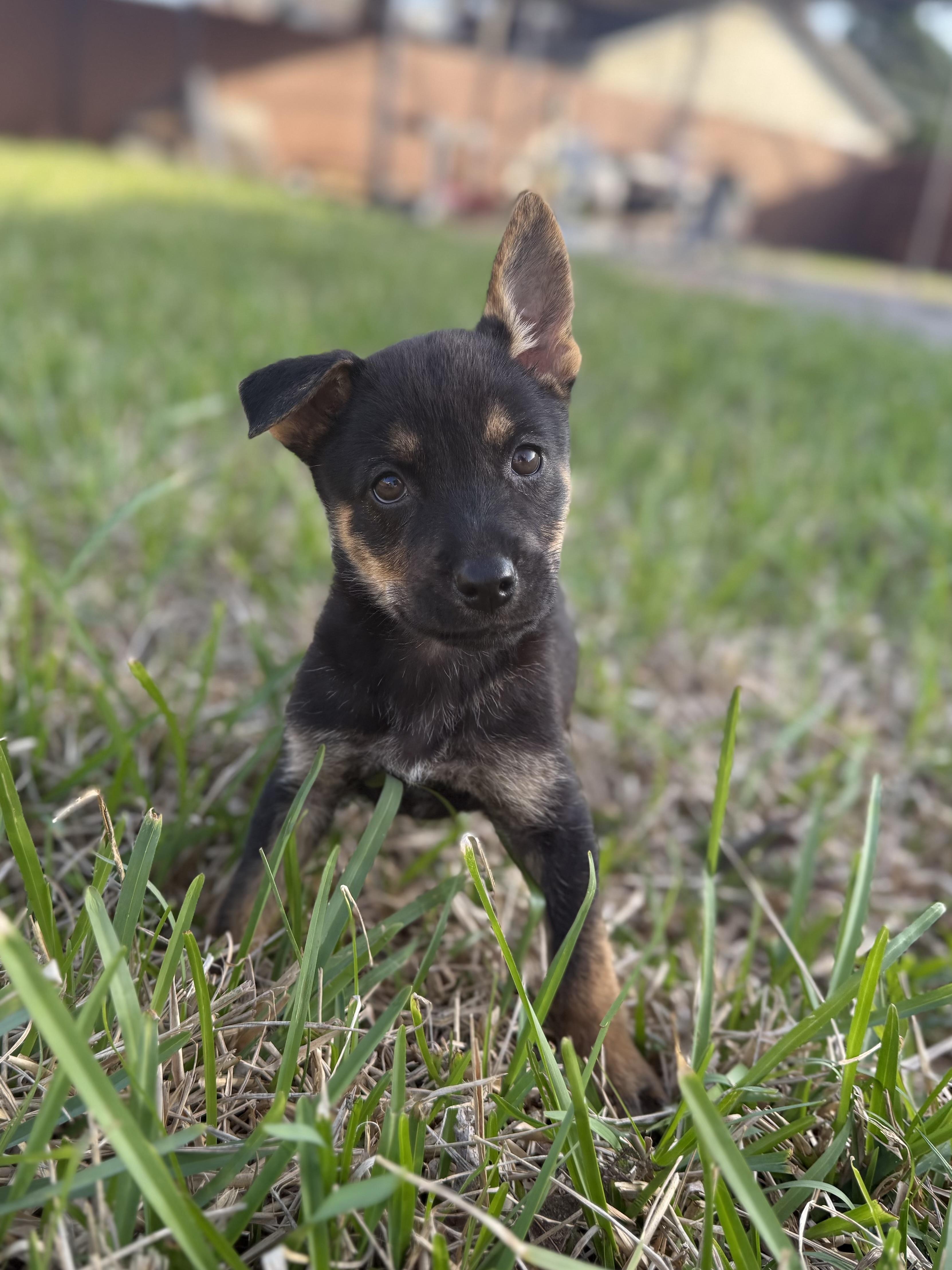 Serene Galaxy — thumbnail 2