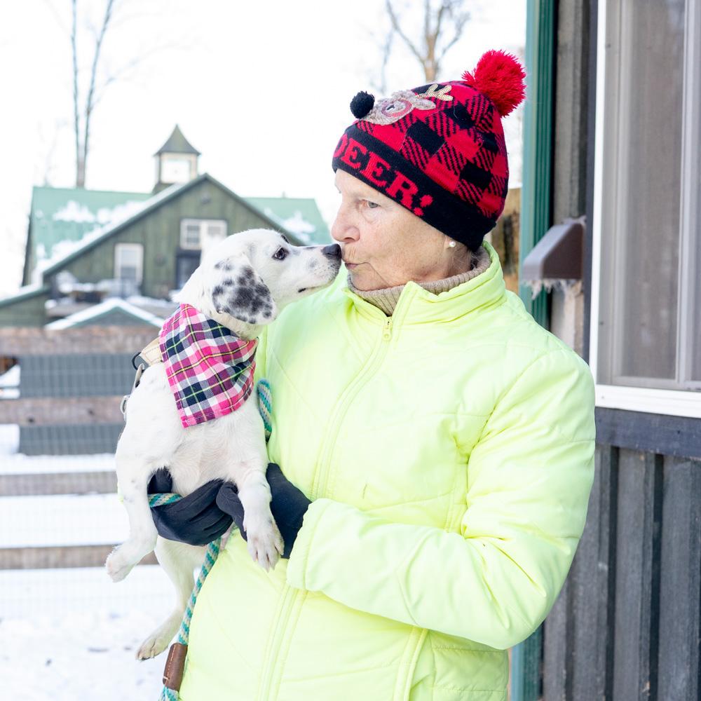 Enlarge Patches  (Female) , a Adoptable mixed breed in West Grove, PA image 4/6