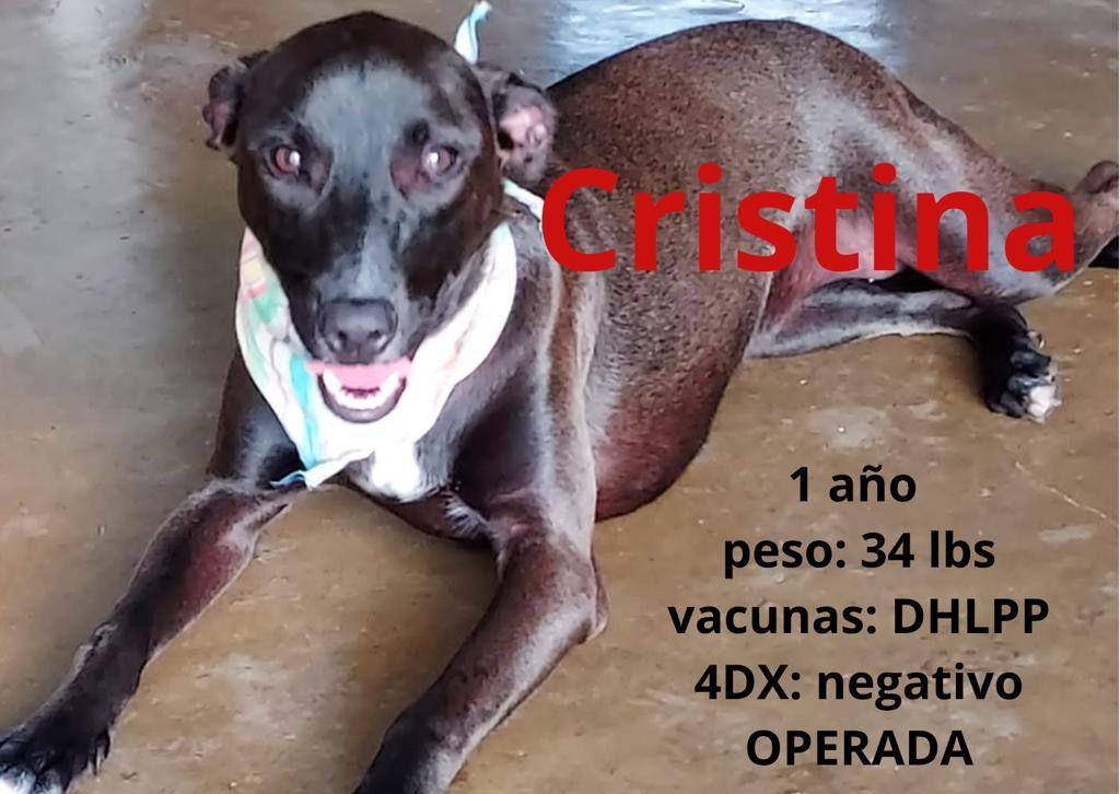 Cristina thumbnail 2