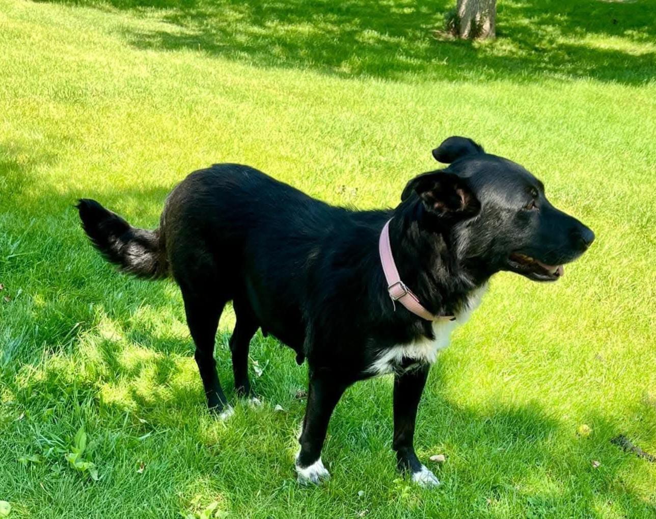 Rosita