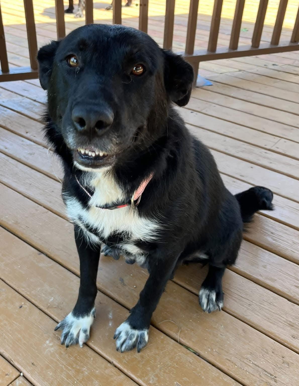 Rosita