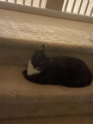 Lexi — thumbnail 2