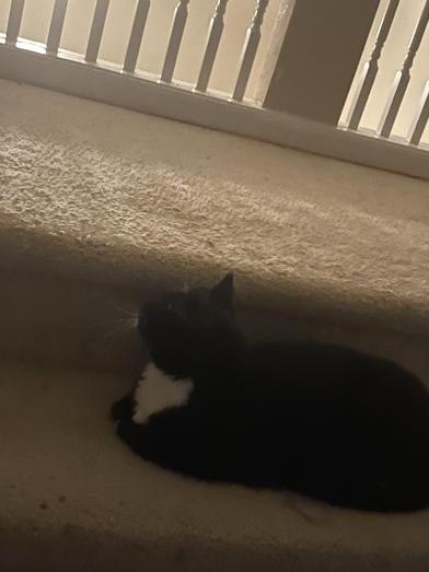 Lexi — thumbnail 3