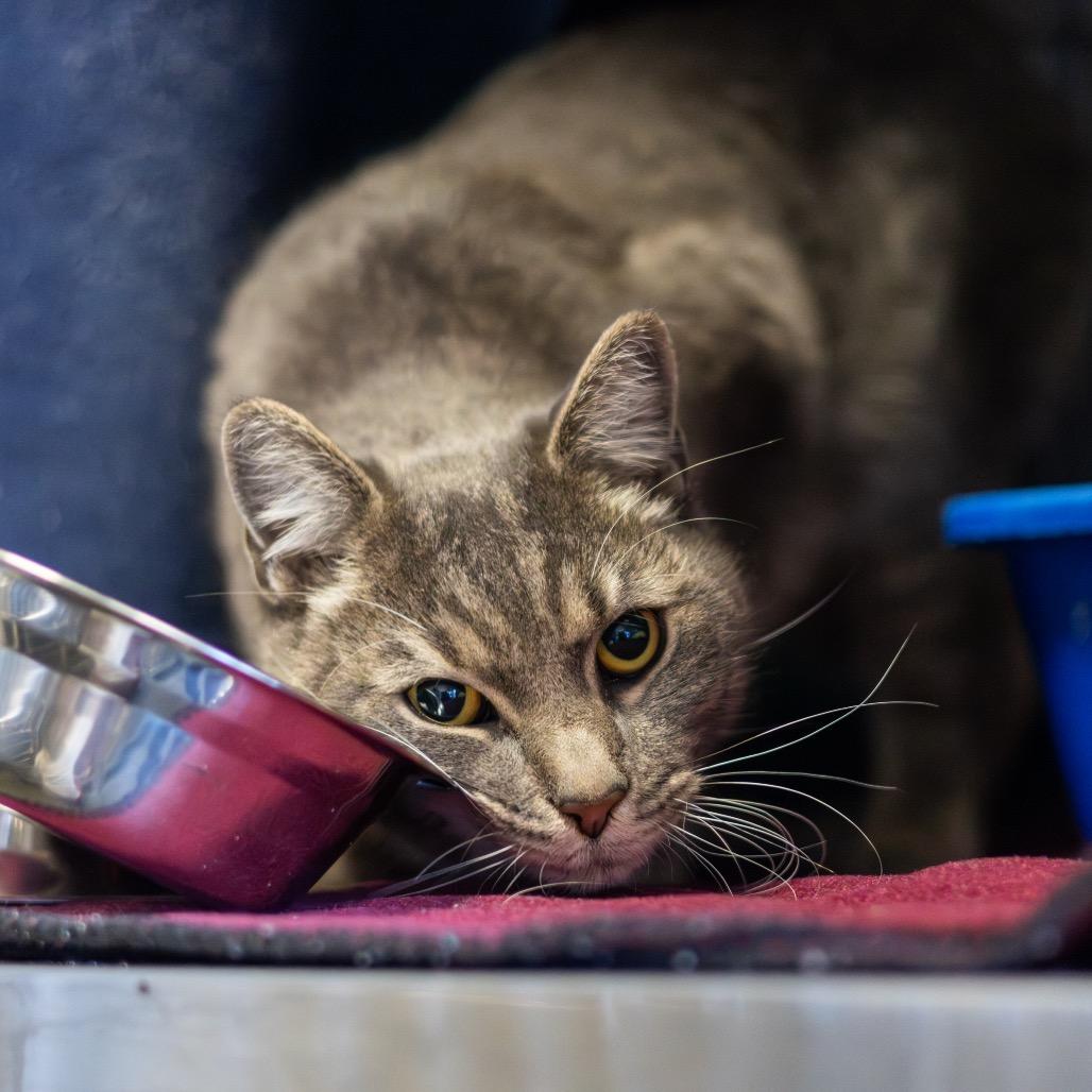 Ruby Loo — thumbnail 2