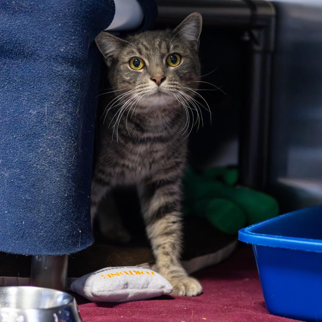 Ruby Loo — thumbnail 3