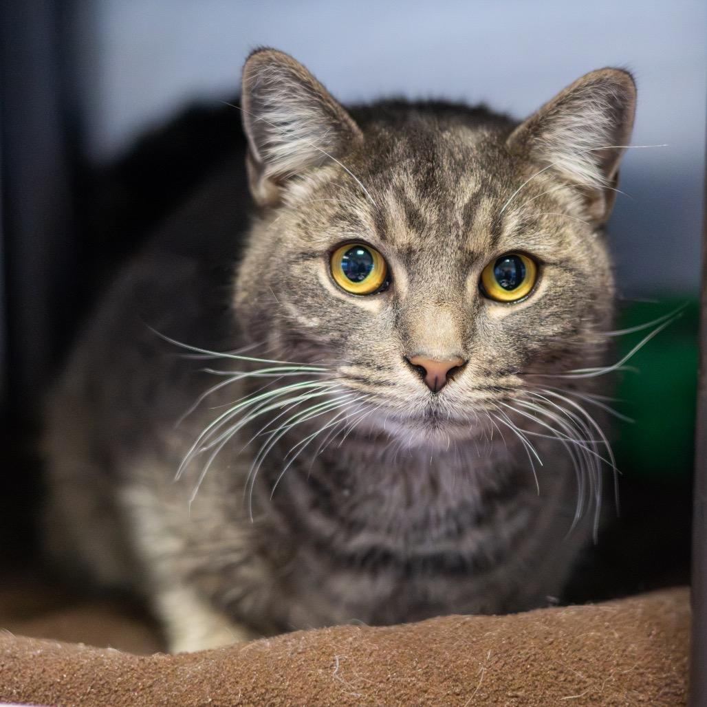 Ruby Loo — thumbnail 4