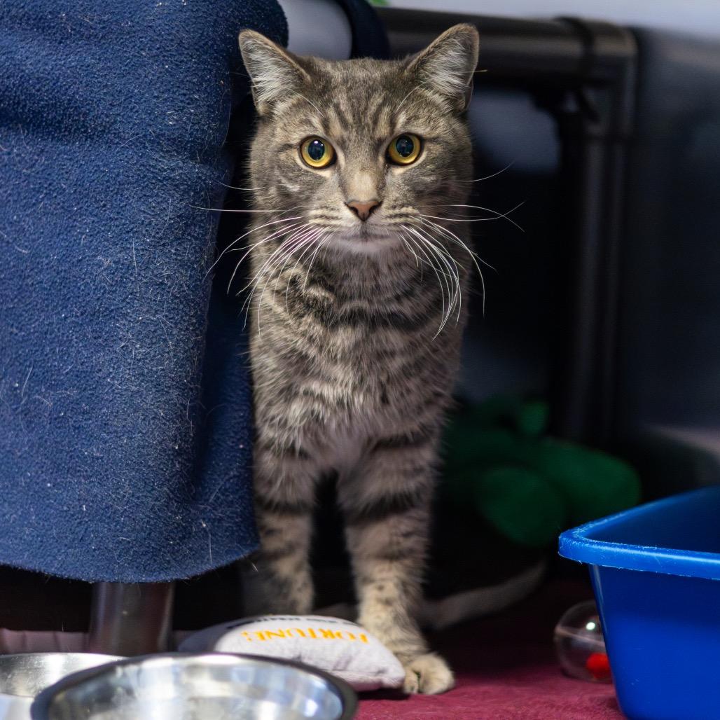 Ruby Loo — thumbnail 5